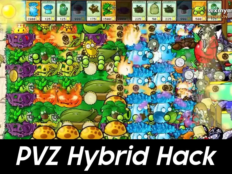 Trong PVZ Hybrid Hack Có Những Tính Năng Gì?