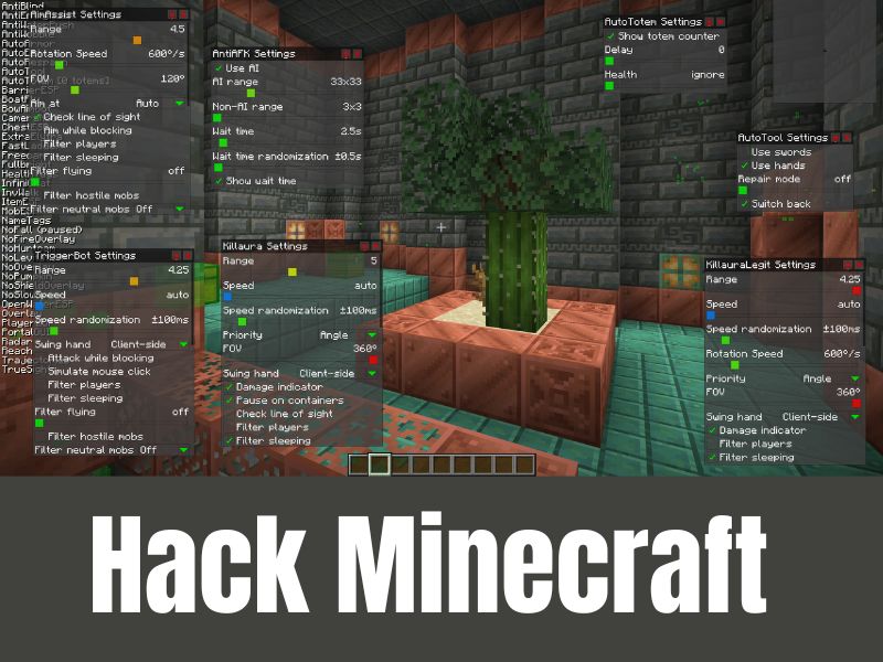 Trong Hack Minecraft hacapks.com Có Những Tính Năng Gì?