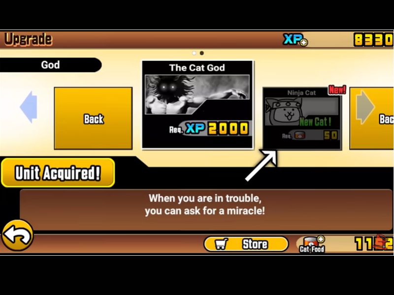 Cơ Chế Nâng Cấp Và Tiến Hóa Mèo Chuyên Sâu